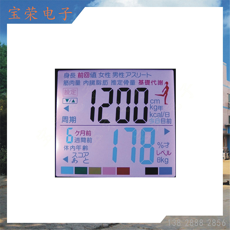 彩色断码屏 液晶显示屏 液晶LCD屏 液晶显示屏工厂